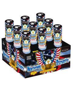 NN5116-national-security